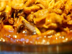 -红辣椒八爪鱼特色韩国料理