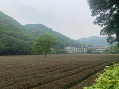 -西湖风景区十里琅珰-五云山