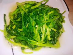 清炒鸡毛菜-19号私房菜(云南路店)