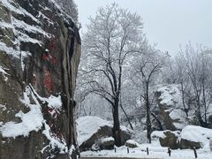 -秦岭终南山世界地质公园翠华山景区