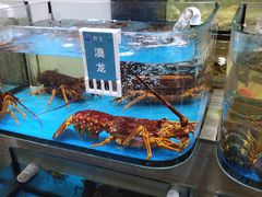 水产区-金海湾海鲜总店