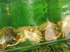 -四海鲜渔家菜(黄金海岸店)