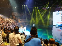 -芜湖新华联大白鲸海洋公园