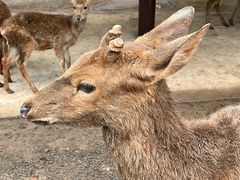 -海南热带野生动植物园