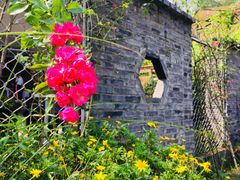 -三圣花乡旅游区