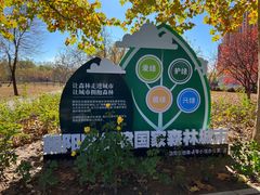 -大望京公园