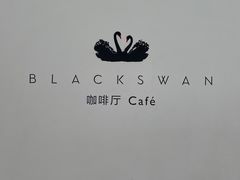 -BLACKSWAN黑天鹅(环球店)