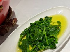 -渝信川菜(工体店)