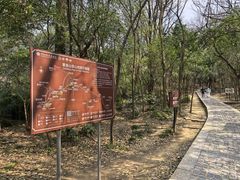 -紫金山山顶公园
