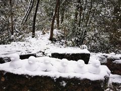 -西岭雪山大飞水景区