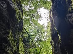 -牛背梁国家森林公园