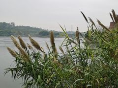 -广东花都湖国家湿地公园
