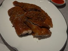 -T館·花园艺术餐厅