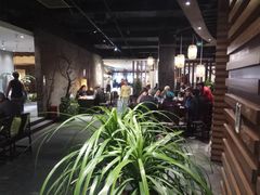 -青藤茶馆(南山路店)