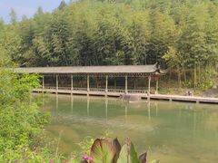 -美人谷景区