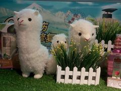 -胖东来生活广场(健康路店)
