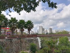 -金鸡岭桥头公园