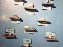 -海合安武汉极地海洋公园