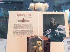 -济州岛泰迪熊博物馆