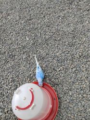 点击看大图 -萌宠亲子动物乐园(槐房万达店)