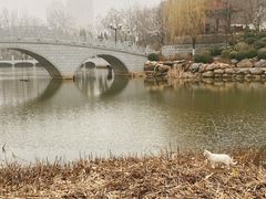 -大连植物园