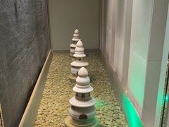 -丽思卡尔顿酒店泳池(金融街店)