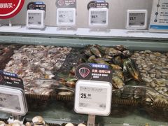 -盒马鲜生(枣园路店)