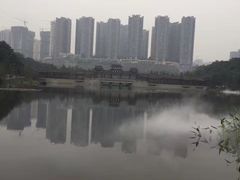 -重庆彩云湖湿地公园