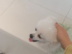 -怪兽屋·羊驼·猫咖·狗咖(俊华广场店)