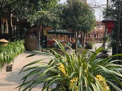 -青城甲(青城山店)