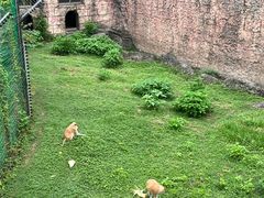 -南昌动物园
