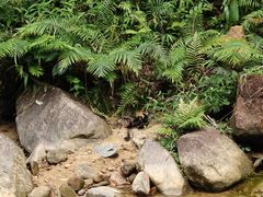 -广州白江湖森林公园