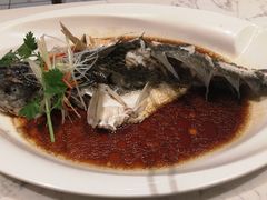 -T11生鲜超市(朝阳公园店)