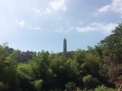 -巢湖姥山岛