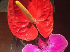 -富力希尔顿酒店·源氏日餐厅