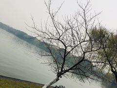 -杭州西湖风景名胜区-钱塘苏小小之墓