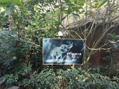 -野象谷景区
