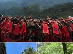 -洛阳白云山景区