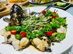 青斑鱼-光明招待所(邦凯科技园店)