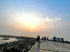 -南汇嘴观海公园