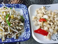 -品鲜村农家菜·阳澄湖大闸蟹(总店)