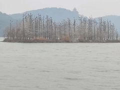 -东湖落雁景区