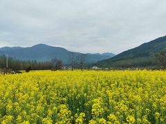-塔川景区