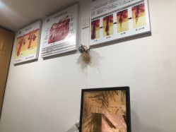 -章光101防脱养发荟