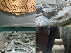 -元谋土林景区(物茂土林)