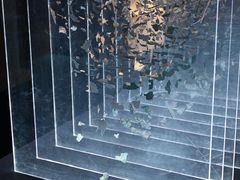 -URBAN REVIVO(深圳华润万象天地店)