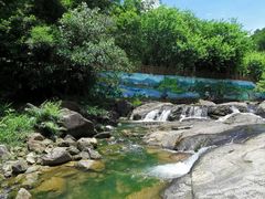 -广州白江湖森林公园