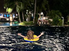 -三亚湾海居铂尔曼度假酒店