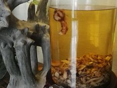 -云上千禾(水上店)