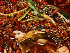 中辣锅底-味之绝热血美蛙鱼火锅(中坝店)